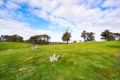 Property photo of 259 Sutton Grange Road Sedgwick VIC 3551