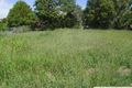 Property photo of 13 Martins Court Qunaba QLD 4670