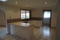 Property photo of 17 Links Avenue Milperra NSW 2214