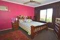 Property photo of 29 Kenrick Street Gordonvale QLD 4865