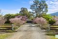 Property photo of 37 Urangera Drive Daruka NSW 2340