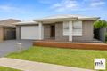 Property photo of 23 Arena Street Spring Farm NSW 2570