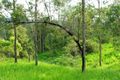 Property photo of 41 Lawrie Road Sarina Range QLD 4737