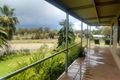 Property photo of 19 Merga Street Cudal NSW 2864