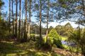 Property photo of 40 Wolfes Road Neika TAS 7054