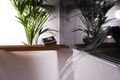 Property photo of 24 Charlton Street Wilton NSW 2571