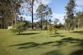 Property photo of 1210 Rushforth Road Elland NSW 2460