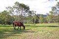 Property photo of 55 Days Road Wights Mountain QLD 4520