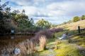 Property photo of 195B Church Road Dromedary TAS 7030