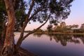 Property photo of 17 Alexandrina Circuit Forest Lake QLD 4078