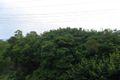 Property photo of 100 Kenneth Road Manly Vale NSW 2093
