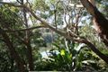 Property photo of 5 Carisbrook Street Linley Point NSW 2066