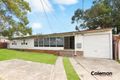 Property photo of 17A Alfred Street Clemton Park NSW 2206