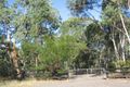 Property photo of 200 Stannix Park Road Wilberforce NSW 2756
