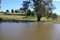 Property photo of 12 The Point Mansfield VIC 3722