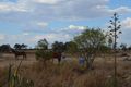 Property photo of 785 Talafa Road Emerald QLD 4720
