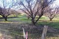 Property photo of 4 Bailey Heights Balingup WA 6253