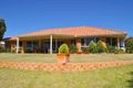 Property photo of 6 Cocos Place Renmark SA 5341