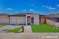 Property photo of 49 Barbra Drive Charlemont VIC 3217