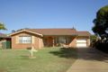 Property photo of 10 Condon Place Dubbo NSW 2830