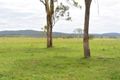 Property photo of 577 Brookland Road Allenview QLD 4285