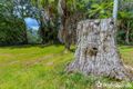 Property photo of 91-95 Bartle Road Tamborine Mountain QLD 4272