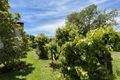 Property photo of 37 Jackson Street Casterton VIC 3311