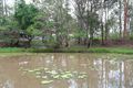 Property photo of 31 Vied Road Pallara QLD 4110