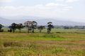 Property photo of 1 McKinnons Road Tinamba VIC 3859