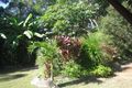 Property photo of 59 High Chapparal Road Kuranda QLD 4881