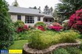 Property photo of 4 Robert Street Sassafras VIC 3787