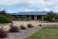 Property photo of 44 Brunckhorst Avenue Stanthorpe QLD 4380
