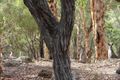 Property photo of 39 Lareema Drive Bullsbrook WA 6084