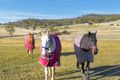 Property photo of 133 Springhill Bottom Road Colebrook TAS 7027