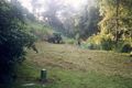 Property photo of 6 Planchonella Close Edge Hill QLD 4870