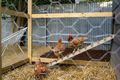 Property photo of 934 Waugh Road North Albury NSW 2640