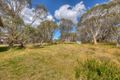 Property photo of 13 Tabletop Fork Dinner Plain VIC 3898