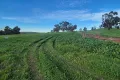 Property photo of 79 Starbush Way Ginginup WA 6503