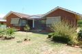 Property photo of 215 Federation Avenue Corowa NSW 2646