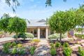Property photo of 6 Sylvan Circuit Noarlunga Downs SA 5168