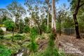 Property photo of 12 Somers Street Mitcham VIC 3132