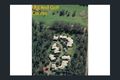 Property photo of 22/45 Bilga Street Middle Park QLD 4074