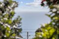 Property photo of 6 Minnipa Drive Hallett Cove SA 5158