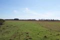 Property photo of 285 Cabbage Tree Road Williamtown NSW 2318