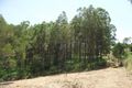 Property photo of 61 Window Road Canina QLD 4570