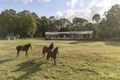 Property photo of 291 Valdora Road Valdora QLD 4561