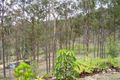 Property photo of 153 Pendennis Road Tamborine QLD 4270
