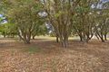 Property photo of 17 Birkdale Court Cooloongup WA 6168