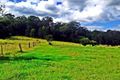 Property photo of 898 Markwell Back Road Markwell NSW 2423