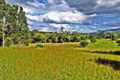 Property photo of 898 Markwell Back Road Markwell NSW 2423